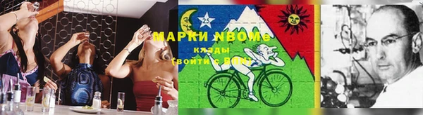 амф Кулебаки