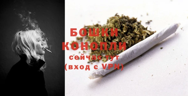 молекула духа Краснослободск