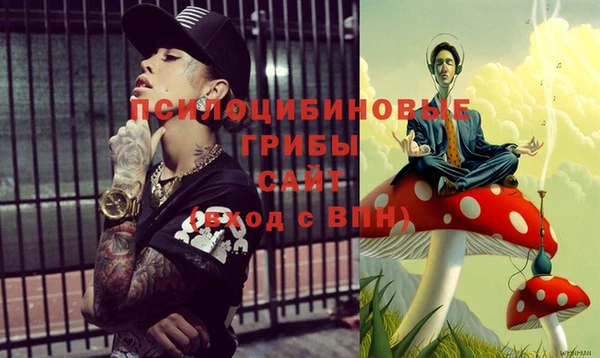 молекула духа Краснослободск