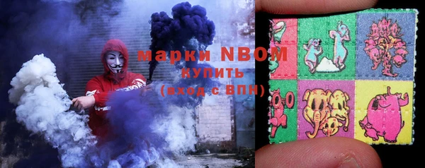молекула духа Краснослободск