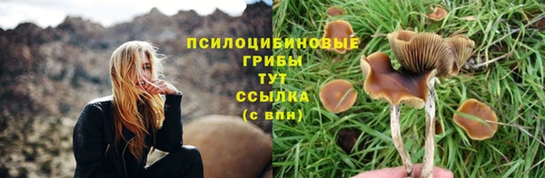 молекула духа Краснослободск