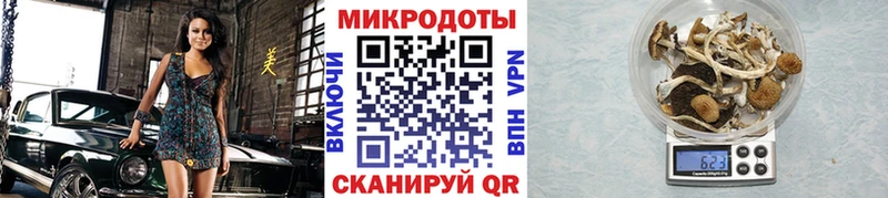 Купить где  Петрозаводск  Галлюциногенные грибы Magic Shrooms 